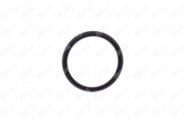 IBRAS Seal, turbo air hose Article number: 11618 cheaply