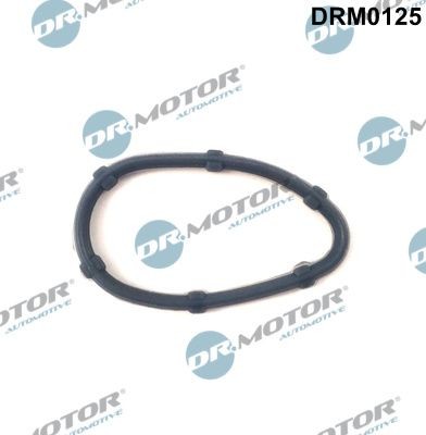 DR.MOTOR AUTOMOTIVE Exhaust manifold gasket Article number: DRM0125 cheaply