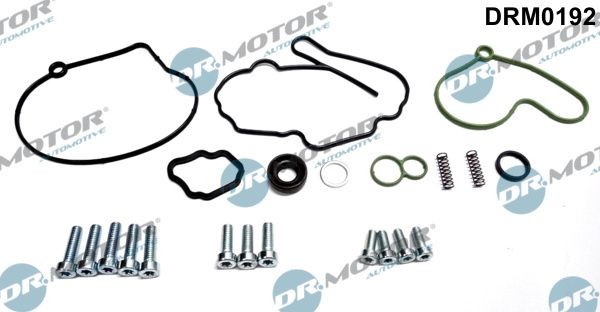 DR.MOTOR AUTOMOTIVE DRM0192 Remondikomplekt, vaakumpump(pidurisüsteem) A4 2.0 TDI 140 HP Diisel 2009