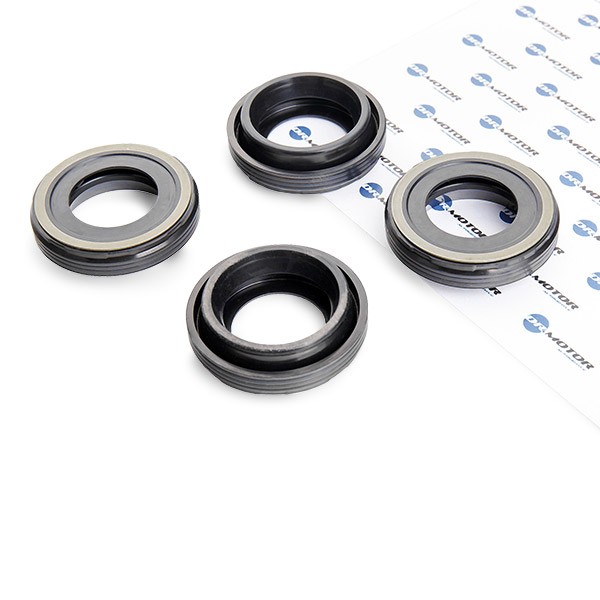DR.MOTOR AUTOMOTIVE Seal Kit, injector nozzle Article number: DRM0250S cheaply