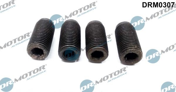 DR.MOTOR AUTOMOTIVE DRM0307 Justerskrue, indsprøjtningspumpe BORA 1.9 TDI 101 HK Diesel 2005