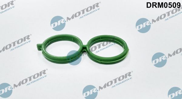 DR.MOTOR AUTOMOTIVE Seal, idle speed control valve - air supply Article number: DRM0509 cheaply