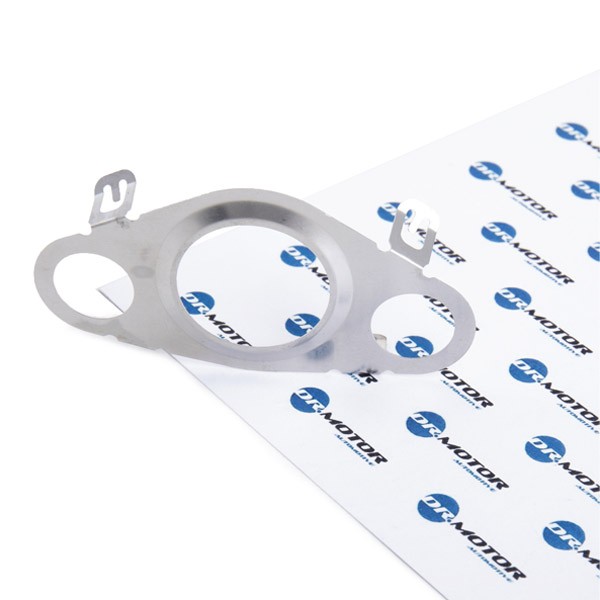 DR.MOTOR AUTOMOTIVE Seal, EGR valve Article number: DRM0580 cheaply
