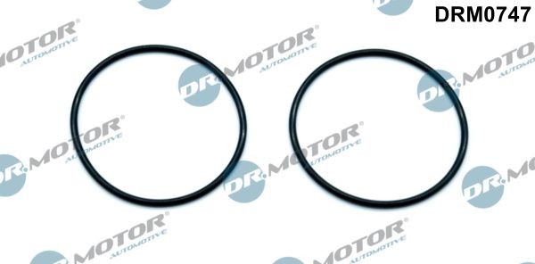DR.MOTOR AUTOMOTIVE Tihend, vaakumpump Artikli number: DRM0747 soodsalt