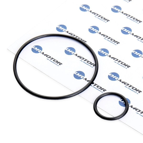 DR.MOTOR AUTOMOTIVE Gasket Set, intake manifold Article number: DRM116 cheaply