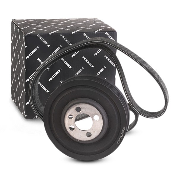 RIDEX V-Ribbed Belt Set Article number: 542R0648 cheaply
