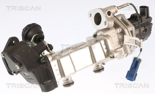 TRISCAN EGR valve Article number: 8813 15001 cheaply