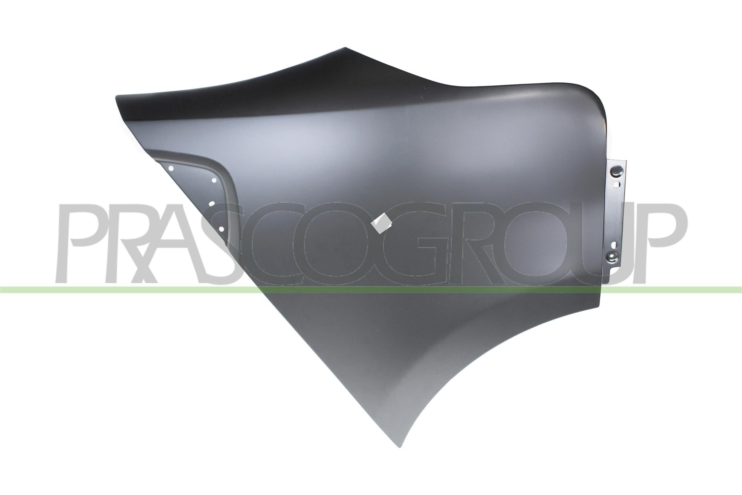 PRASCO Wing fender Article number: FT9003013 cheaply