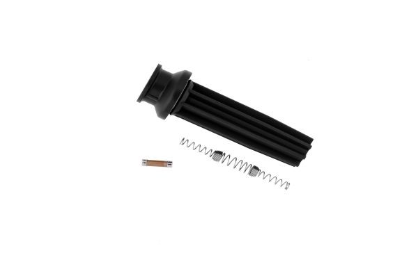 TESLA CP100 Plug, spark plug S60 2.0 T5 240 PS Petrol 2019