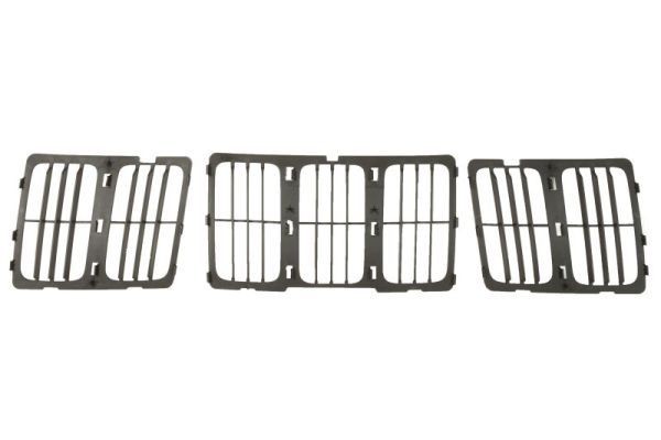 BLIC Radiator Grille Article number: 6502-07-3206993BP cheaply