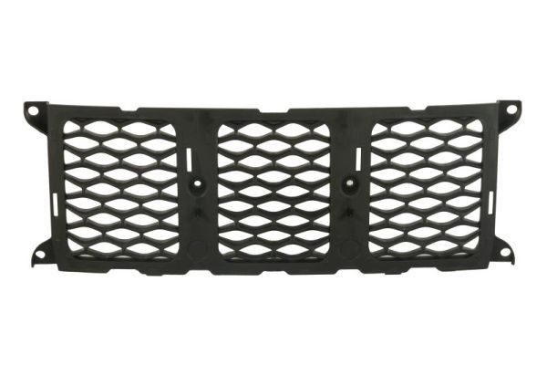 BLIC Radiator Grille Article number: 6502-07-3207995P cheaply