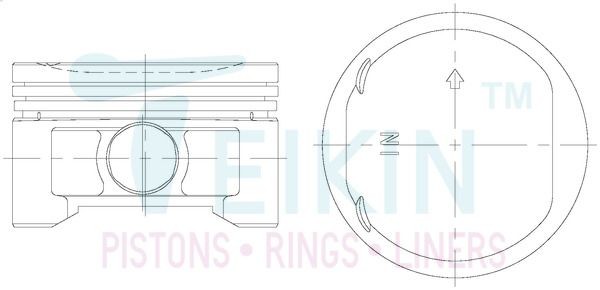 TEIKIN Piston Set Article number: 38169.050 cheaply
