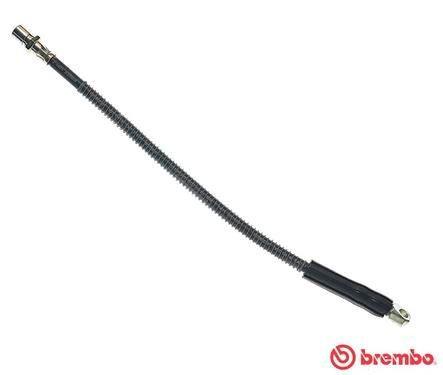 BREMBO Brake hose Article number: T 41 002 cheaply
