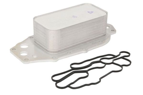 THERMOTEC Radiatore olio motore Numero articolo: D4I011TT poco costoso