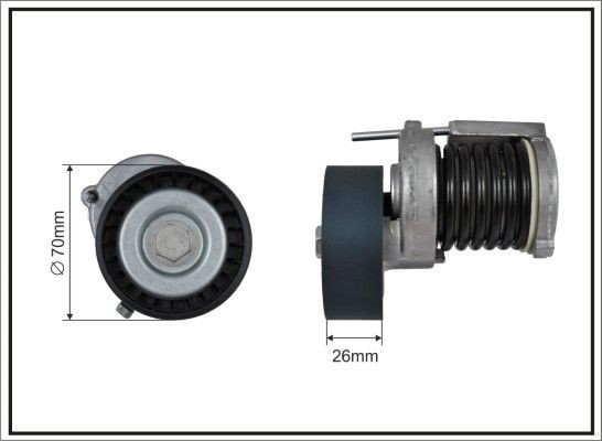CAFFARO Tensioner Lever, v-ribbed belt Article number: 100100SP cheaply