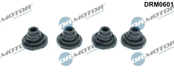 DR.MOTOR AUTOMOTIVE Гарнитура, капак на цилиндрова глава артикулен номер: DRM0601 евтино