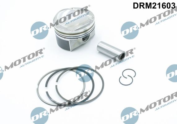 DR.MOTOR AUTOMOTIVE Бутало артикулен номер: DRM21603 евтино