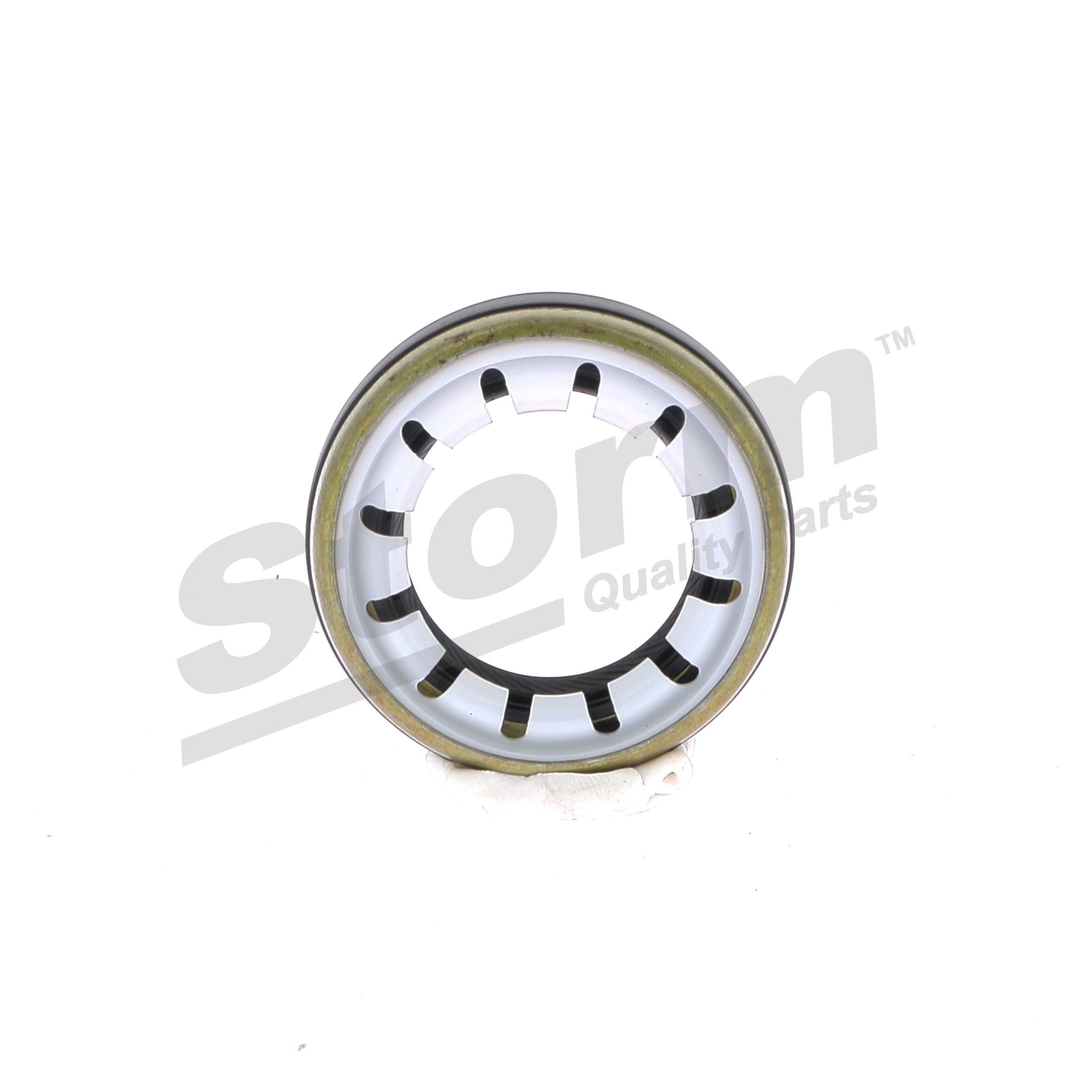 STORM QUALITY PARTS Shaft Seal, differential Article number: 99913 cheaply