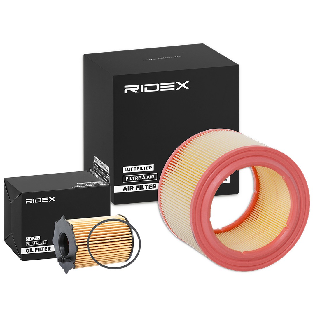 RIDEX Filter kit Article number: 4055F1001 cheaply