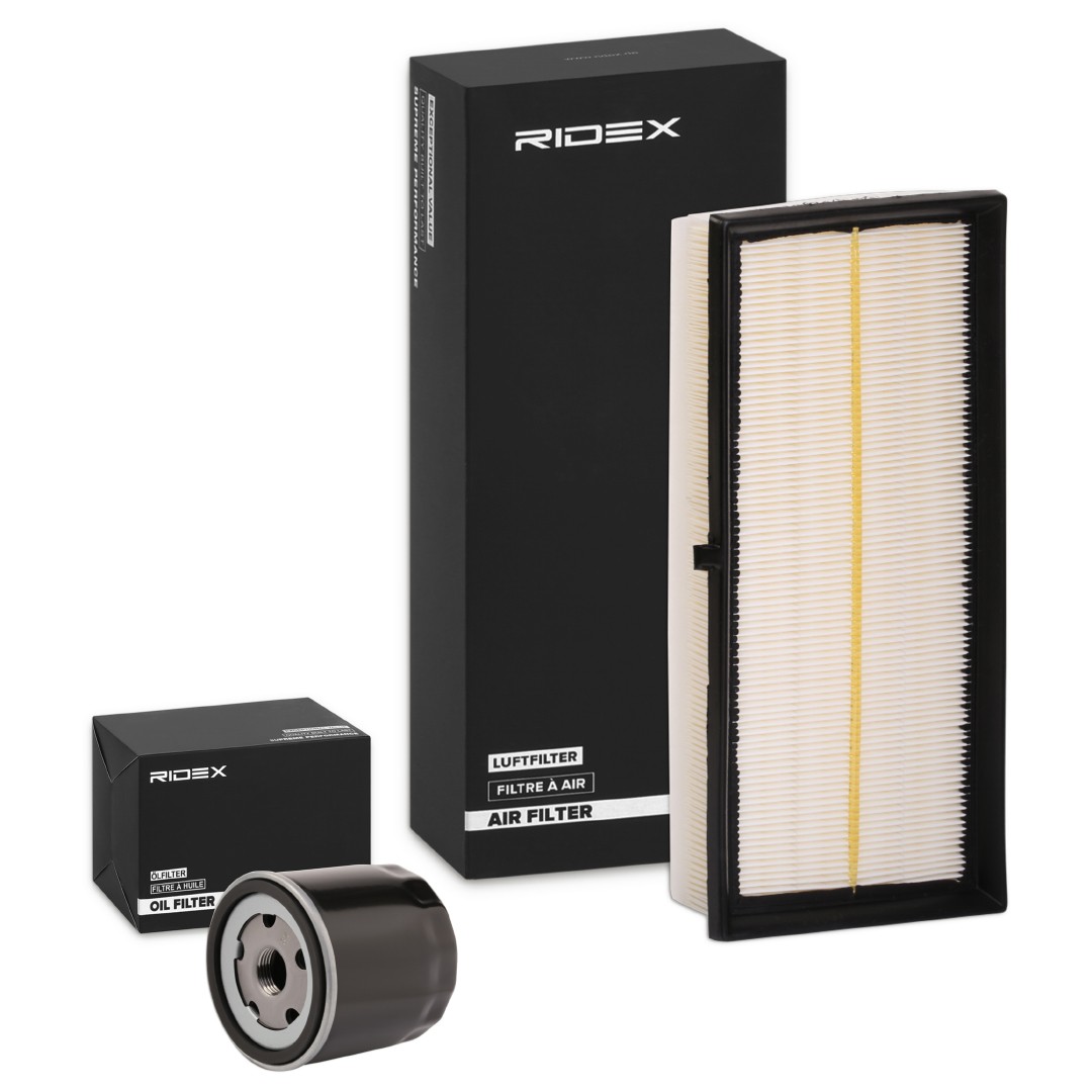 RIDEX Filter kit Article number: 4055F1306 cheaply
