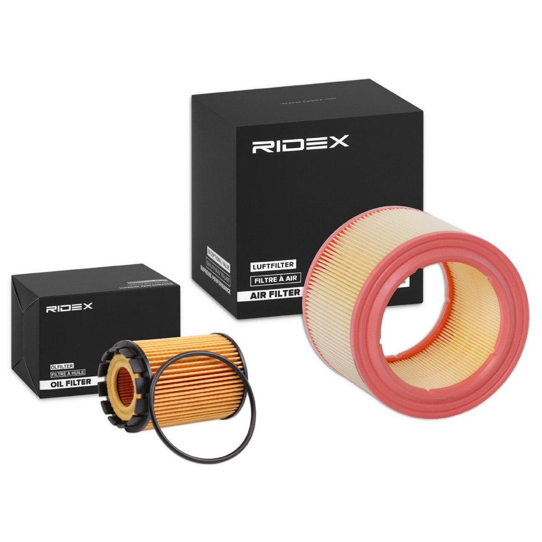RIDEX Filter kit Article number: 4055F1421 cheaply