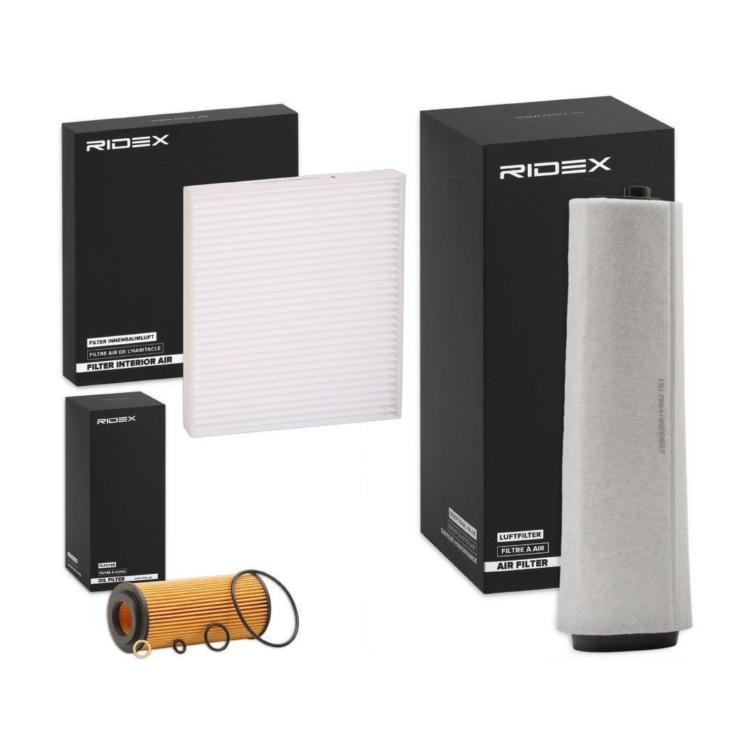 RIDEX Filter kit Article number: 4055F3195 cheaply
