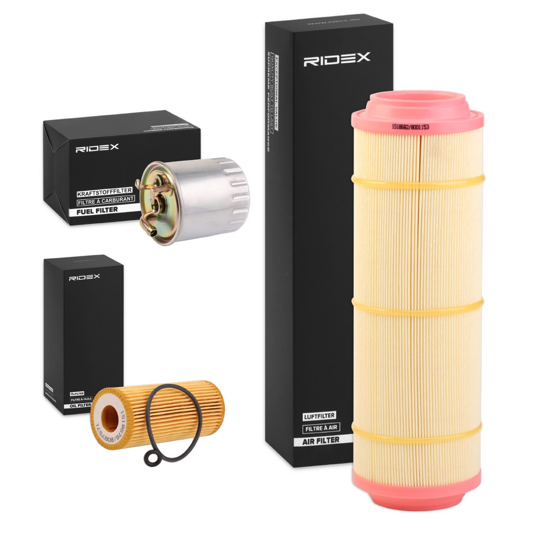 RIDEX Filter kit Article number: 4055F8290 cheaply