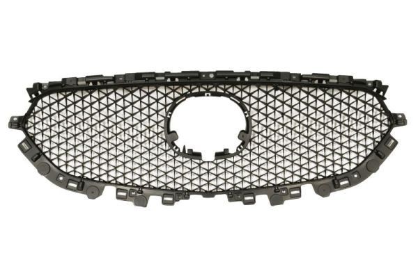 BLIC Radiator Grille Article number: 6502-07-3496991P cheaply
