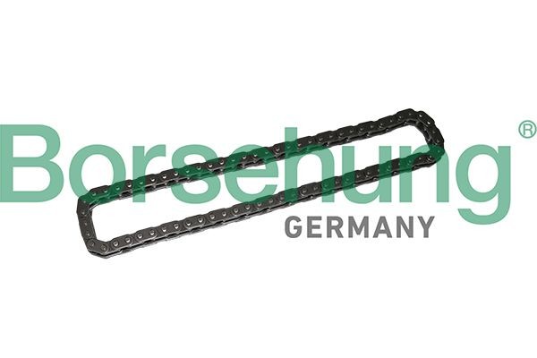 Borsehung Timing Chain Article number: B1C022 cheaply