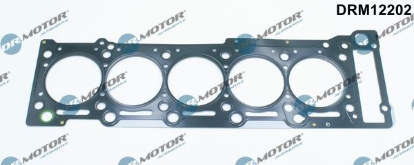 DR.MOTOR AUTOMOTIVE Gasket, cylinder head Article number: DRM12202 cheaply