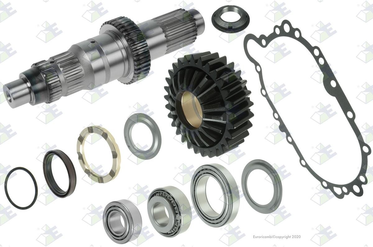 Euroricambi Repair Kit, differential Article number: 74171167 cheaply