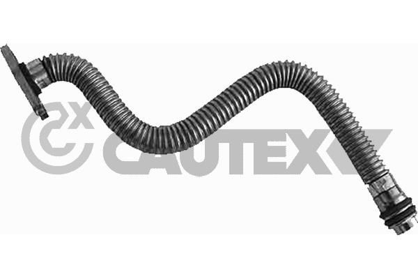 CAUTEX 769585 Õliühendus, kompressor KANGOO 1.5 dCi 68 HP Diisel