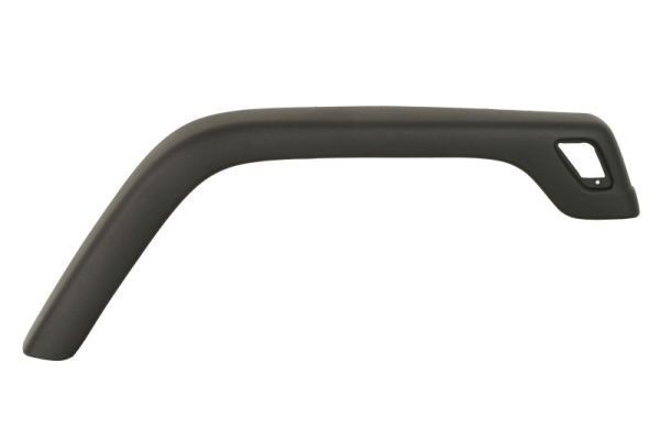 BLIC Trim / Protective Strip, mudguard Article number: 5703-08-3255372BP cheaply