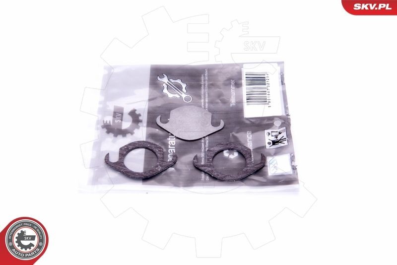 ESEN SKV 14SKV506 Repair Kit, intake manifold module PHAETON 3.0 V6 TDI 4motion 240 PS Diesel 2016