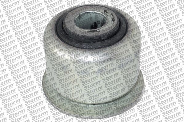 STORM QUALITY PARTS F10575 Bush, kingpin C5 2.0 16V BioFlex 140 PS Petrol/Ethanol 2017