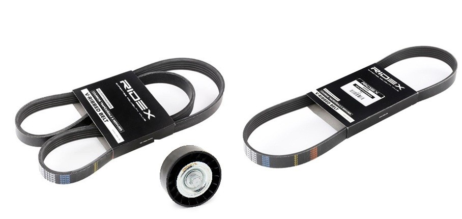 RIDEX V-Ribbed Belt Set Article number: 542R0869 cheaply
