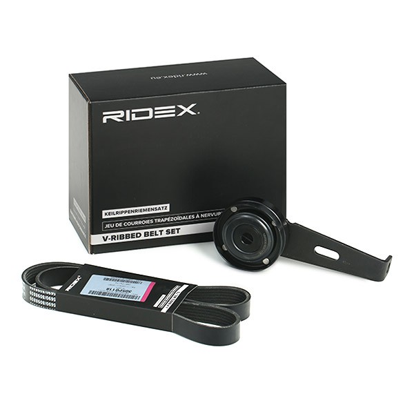 RIDEX V-Ribbed Belt Set Article number: 542R1048 cheaply