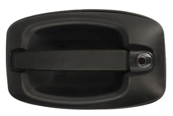 BLIC Door Handle Article number: 6010-30-003401P cheaply