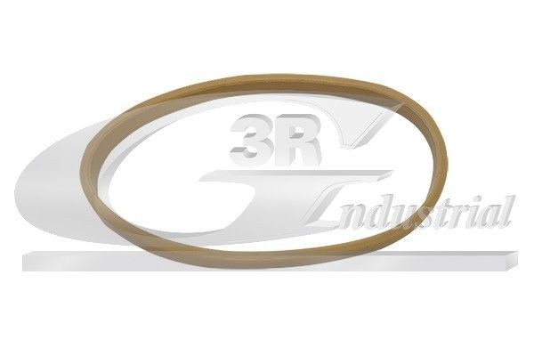 3RG Inlet manifold gasket Article number: 82686 cheaply