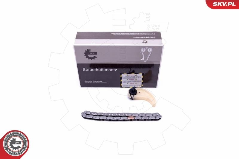 ESEN SKV 21SKV106 Chain Set, oil pump drive GOLF 1.9 TDI 4motion 105 PS Diesel 2009