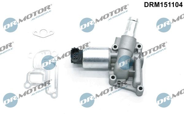 DR.MOTOR AUTOMOTIVE EGR valve Article number: DRM151104 cheaply