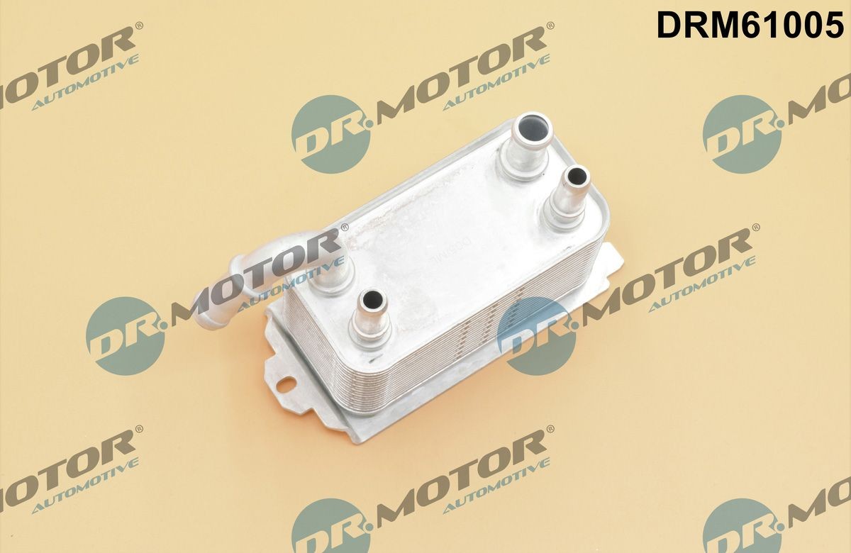 DR.MOTOR AUTOMOTIVE Oliekøler, automatisk gearkasse Varenummer: DRM61005 billige