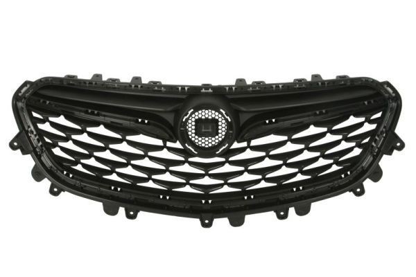 BLIC Radiator Grille Article number: 6502-07-5054990P cheaply