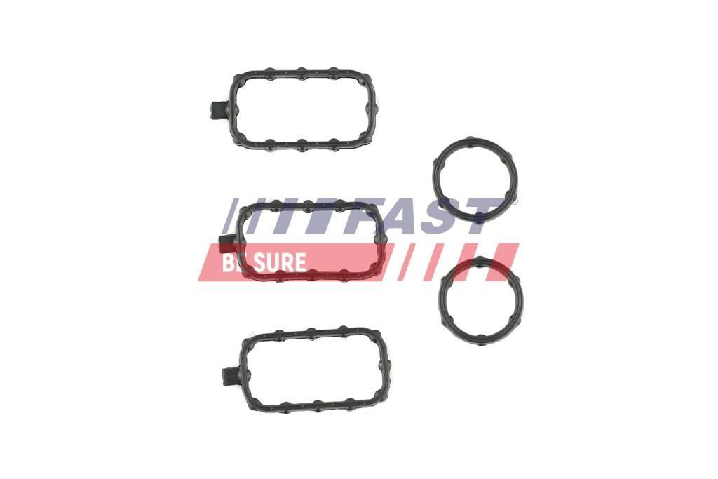 FAST Gasket Set, cylinder head cover Article number: FT49001 cheaply