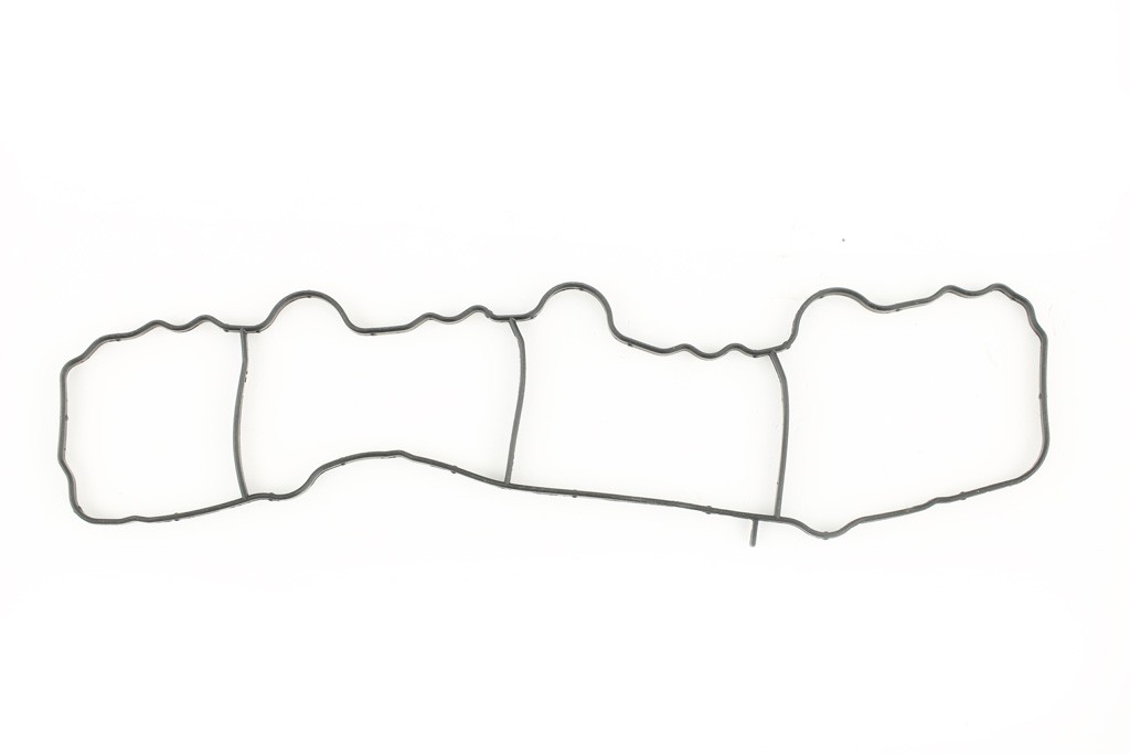 FAST Inlet manifold gasket Article number: FT49430 cheaply