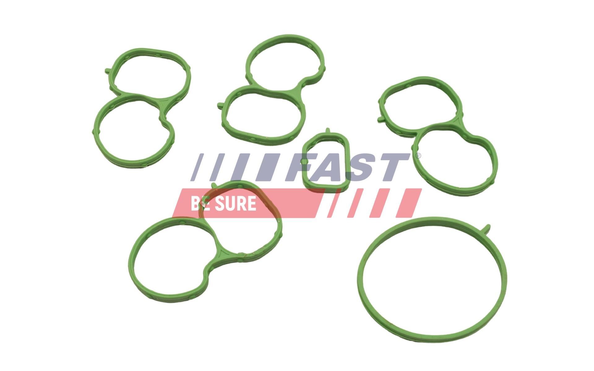 FAST Inlet manifold gasket Article number: FT49434 cheaply