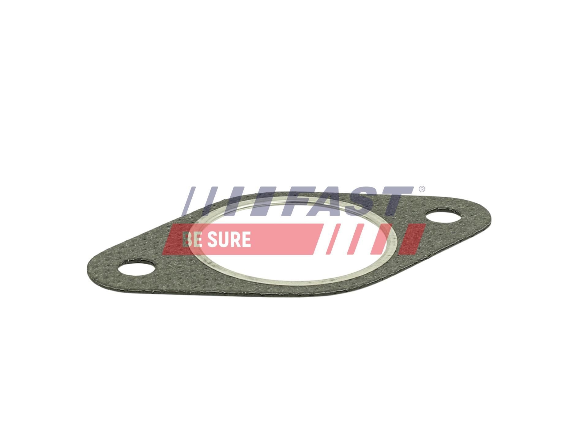 FAST Exhaust pipe gasket Article number: FT84807 cheaply