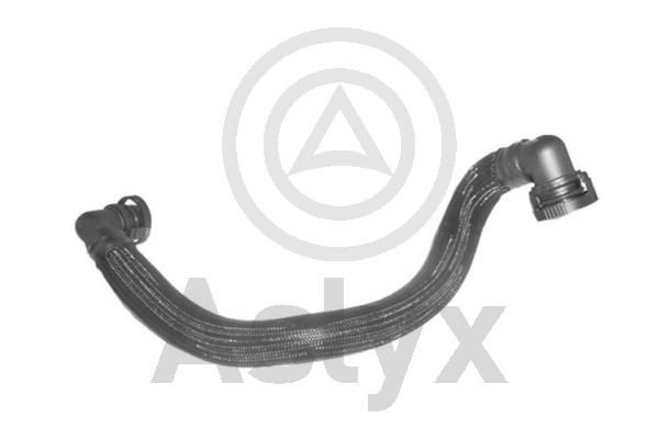 Aslyx AS-594193 Õhutusvoolik C3 1.6 VTi 120 HP Bensiin