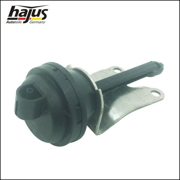 hajus Autoteile Control Flap, air supply Article number: 1151299 cheaply