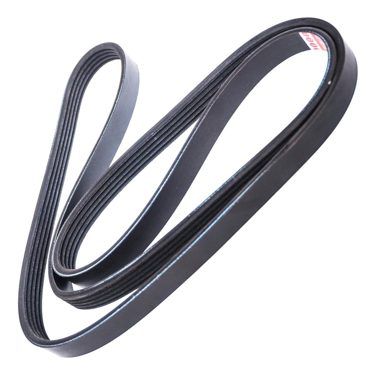 MASTER-SPORT Serpentine belt Article number: 5PK1510-PCS-MS cheaply
